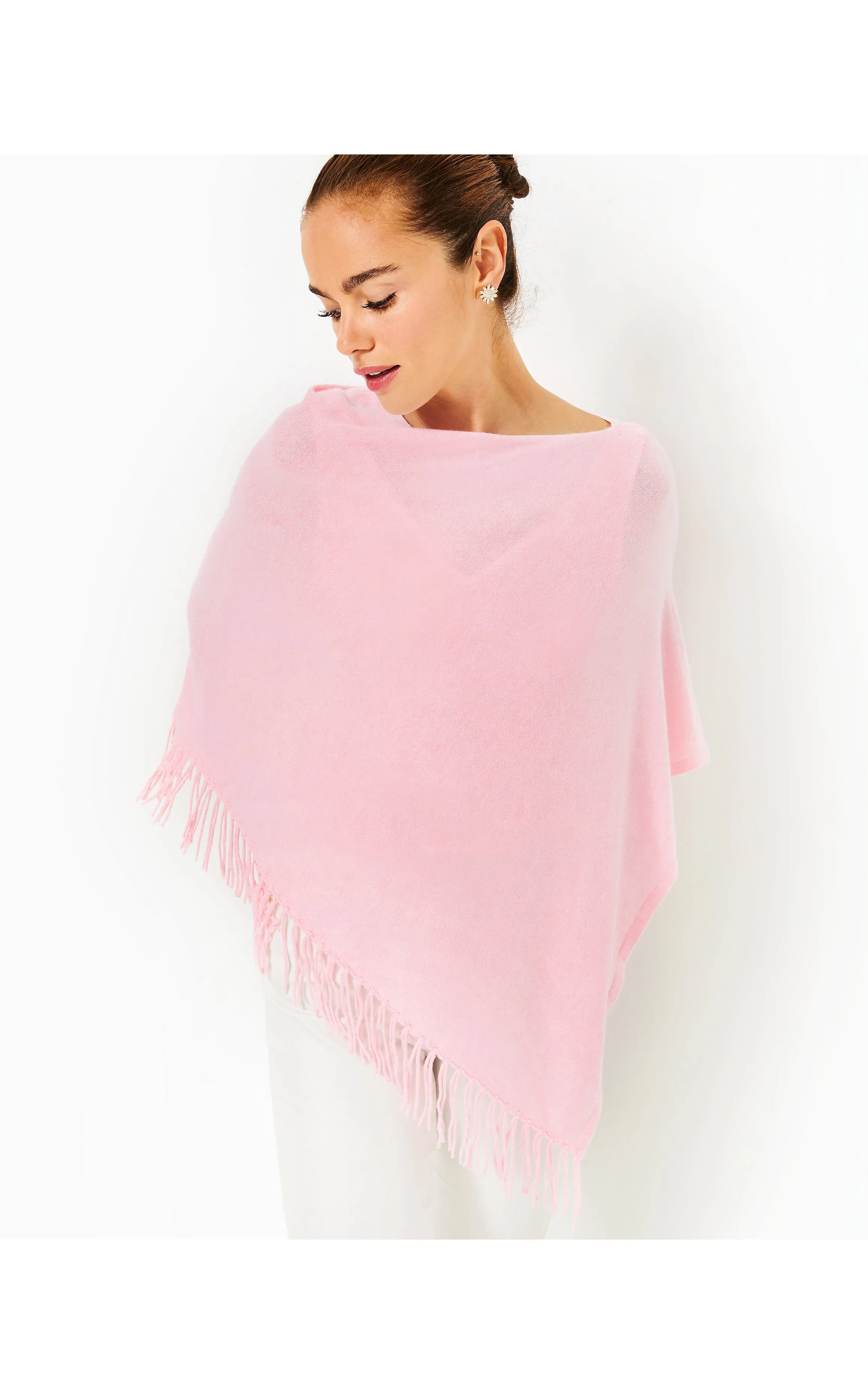 Gato Poncho