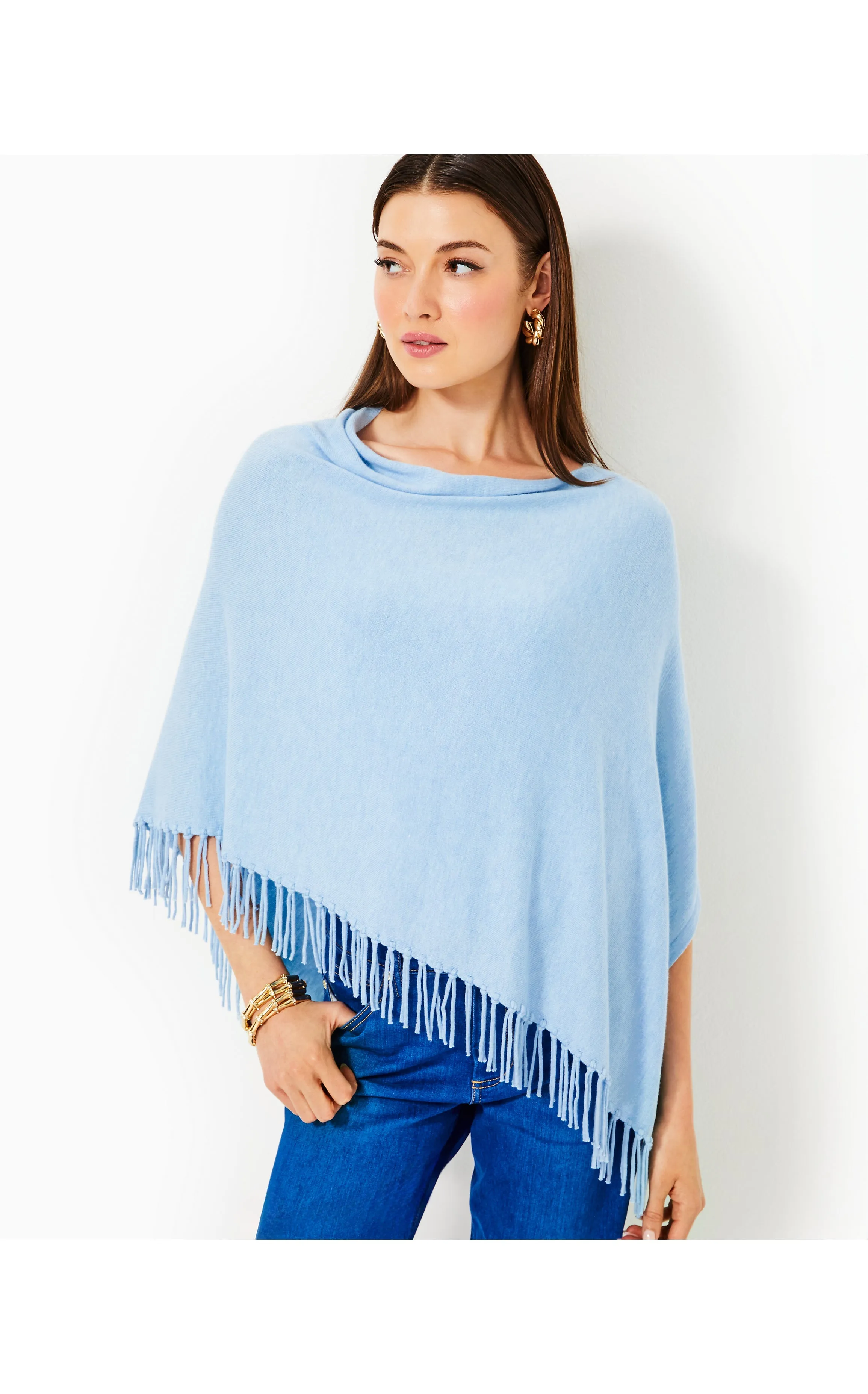 Gato Poncho